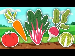 Fruits & Vegetables That Can Grow In Your Garden! | KLT