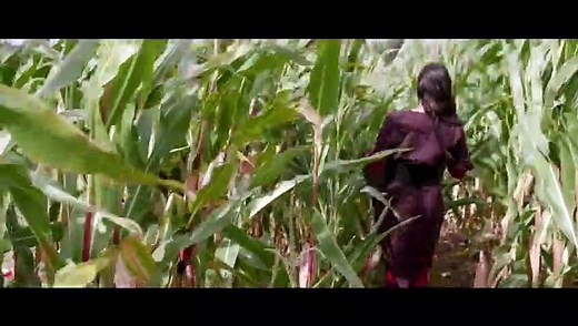 Scarecrow's Revenge (2019) Trailer