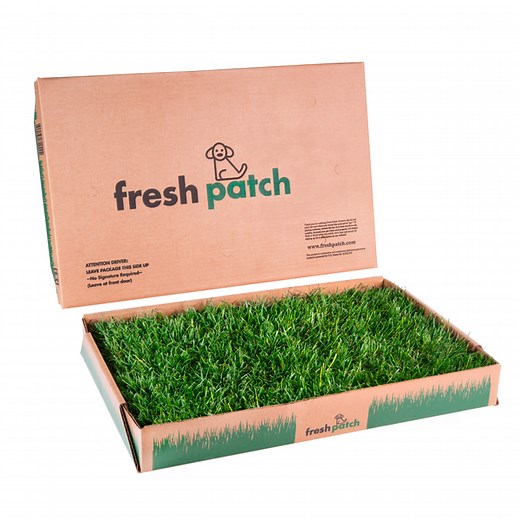 The Fresh Patch Standard - 16" x 24" Apartment Dog Grass (Real Grass)