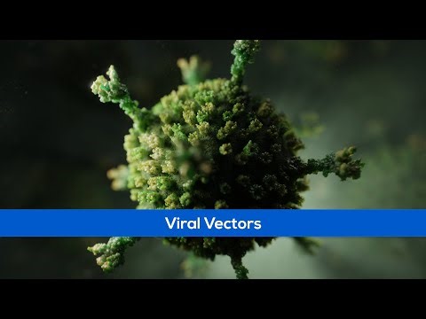 Medical Animation - Viral Vectors