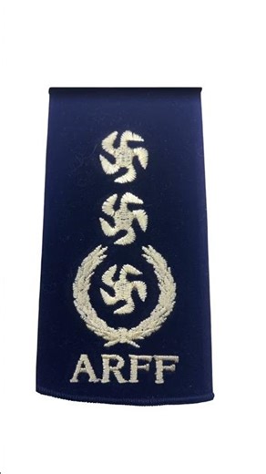He Runs Into Fire While Others Run Away 🔥 | ARFF AGM Rank Reality #shorts