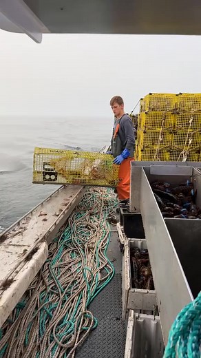 42K views · 241 reactions | Grinding! #wesmac #lobstertok #fyp #volcano #foryoupage | Nicole Thornton | Facebook