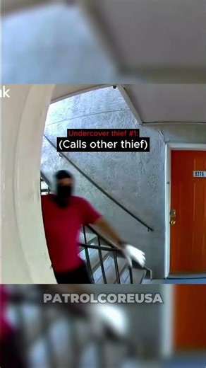 Owner Mag Dumps Through Door At Bulglars