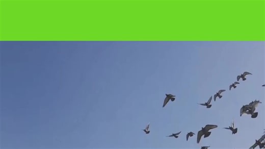 Trimethoprim & Sulfa