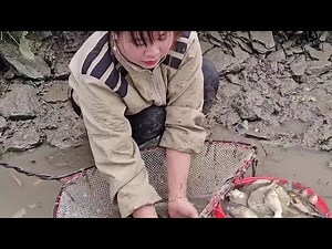 "How Natacha Helps Carp Lay Eggs for Reproduction"