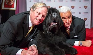 The Easter Pup Is Back At USA Network's 'Beverly Hills Dog Show'