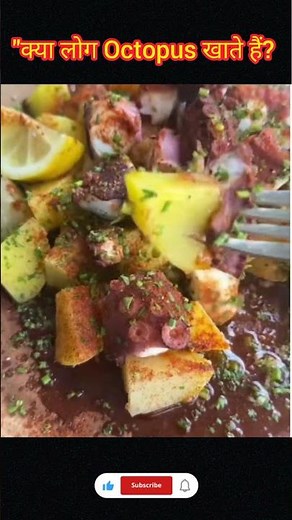 Octopus Eating: The Weirdest & Wildest Dinner Table Facts