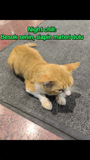 #1kontensehari #motivasi #viralindonesia #konsisten #ngonten