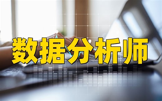 P6数据分析师