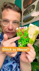 Lenormand Paar 36 Klee und Haus – Harmonie für dein Zuhause