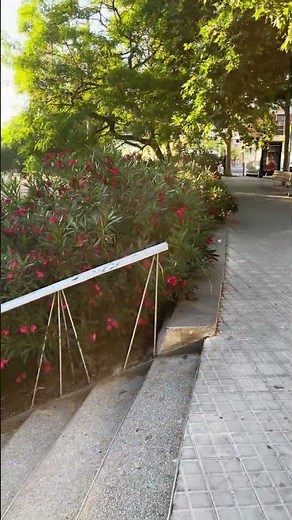 🌿 Santa Coloma de Gramenet | Санта-Колома-де-Граменет