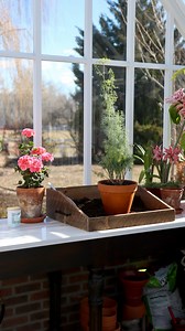 DIY Pretty Wood Potting Tray! 😍💚🙌 | Garden Answer