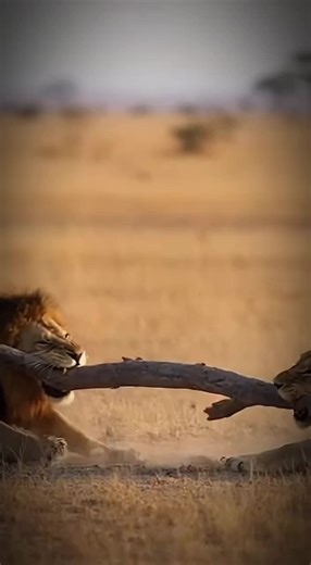 Increíble video de IA con 100M de vistas