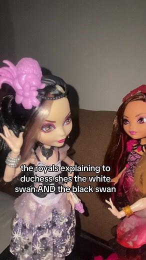 Duchess Swan: The Duality of White and Black Swan