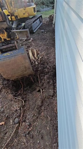 Landscaping Pro tip. Use the right tool for the job. We could have dug this stump out by hand. It would have taken at least half an hour. Instead, we used the excavator. Saving time and a lot of work. Plus we got more of the root ball. If you're a pro watching this: get a tilt rotator for your excavator. They're the best.