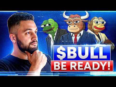 What You Should Know About $BULL: An Overview of the Project and Its Vision