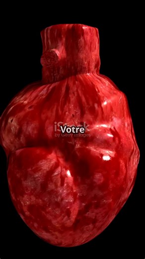 Comprendre le Cœur : Fonctionnement et Importance