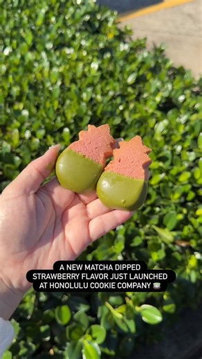 T. on Instagram: "📍”Let’s Bake It Happen 🍵” From @honolulucookie 🎥 A new Matcha Dipped Strawberry flavor just launched at Honolulu Cookie Company 🍵 It features the perfect blend of sweet fruity notes with a smooth matcha finish 🍓 They have the cutest Build Your Own Box stations to elevate your in-store experience 🌺 Our fave is their adorable suitcase tin – We filled up ours with half Matcha Dipped Strawberry and half Matcha.😌 Matcha fans, make sure to stock up on these since it is their s