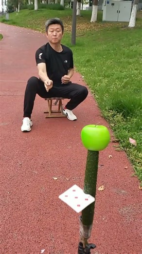 Flying Card Trick, Unbelievable Cards Comparable to Throwing Knives