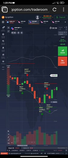 iq option indicator 99% accuracy