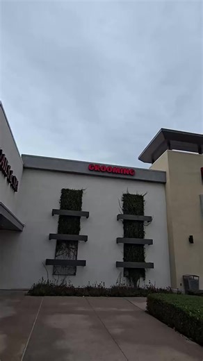 Evelyn Nano_Nano (@evelynnanonano2)’s videos with original sound - Evelyn Nano_Nano