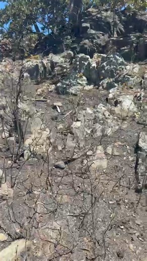 Aftermath of fire @ Pipers Lagoon, Nanaimo B.C ~ | X Local - Nanaimo