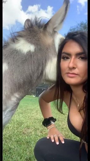 Woman Shows Affection for Donkey on Farm#donkey #farmlife #animals #countrylife