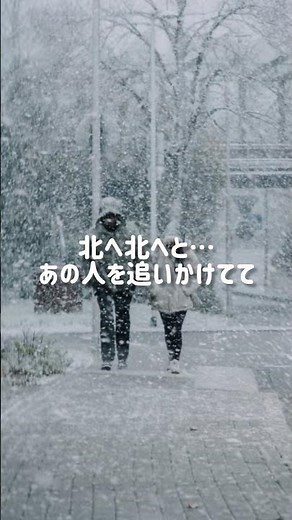 キム・ヨンジャ／♭2北の雪虫／カバーSally
