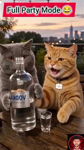 Cats Full Party Mode! 😂 | Ultra Funny Drinking & Dancing Cats Video 🐱🍾