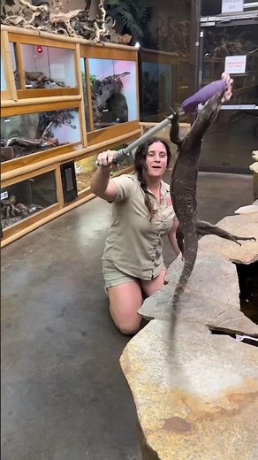 This Sweet Monitor was very Energetic😳😅