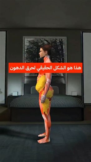 6.6K views · 1.2K reactions |  نتائج واضحة  تحرق دهون البطن والفخذ...