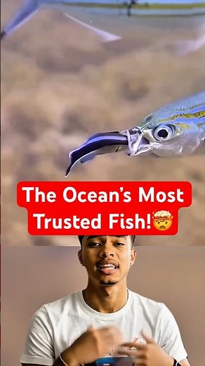 The Fish Even Sharks Refuse To Eat!