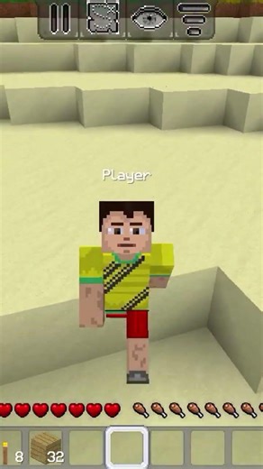 The most epic skin in minecraft ?