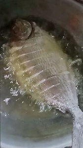 Goreng Ikan Baronan#cooking #fypシ゚viral #fyp