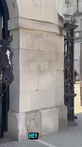 Swift Police Response Neutralizes Threat in Public Area!! #GuardiansOfTradition #RespectTheGuard #RoyalHeritage #StrengthInSilence #HistoryInUniform #CourageAndDuty #HonoringThePast #ProudlyStanding #SymbolOfStability #UnityInTradition | King's Guard Parade