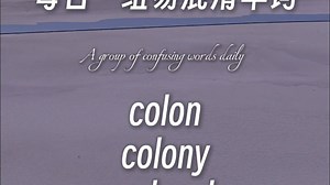 每日一组易混淆单词colon/colony/colonel