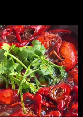 Frozen Cooked Whole Crayfish 2 * 5 LBS (U10)