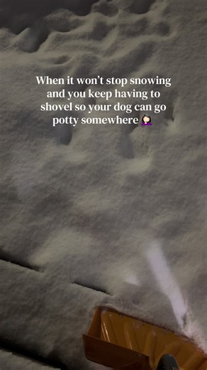 We call this “potty rectangle” 💀🤣 Although it’s not much of a rectangle tonight but shoveling is a workout. 😂 #dogmom #wintervibes #snowstorm