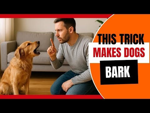 How to Teach Your Dog to Bark on Command (Fun & Easy Dog Training)