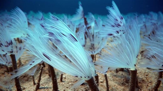 The Mediterranean’s hidden wonders