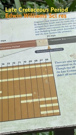 Late Cretaceous Period: of Dinosaurs. Edwin Williams sci res. #youtubeshorts, ‪@edwinwilliams7767‬