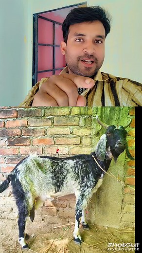 628K views · 12K reactions | 7 dancing girl खोजे  類樂 test game #viral #trending #reels #instagram #success #game #fbreelsfypシ゚ #reelschallenge #reelstrending #reelitfeelit | Mohammad Nafis | Facebook