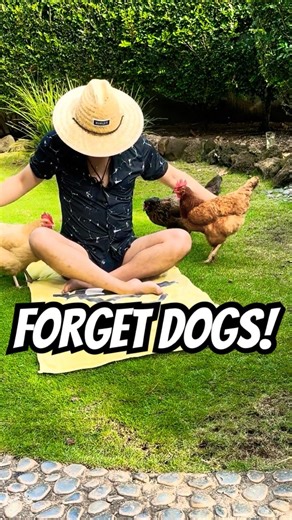 FEEL LONELY TODAY? 🐔💕 Hugging my chickens will HEAL YOUR HEART...