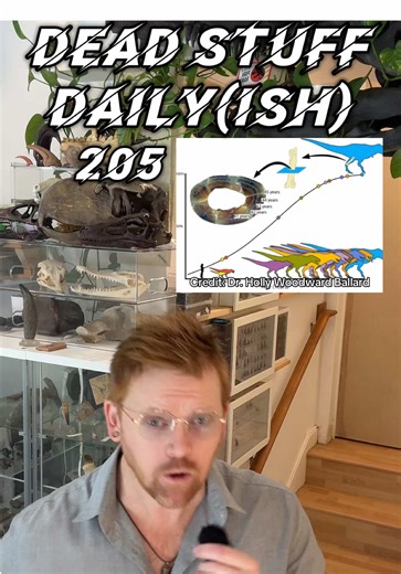 Tyrannosaurus Rex Growth Insights Unveiled by Paleontologists