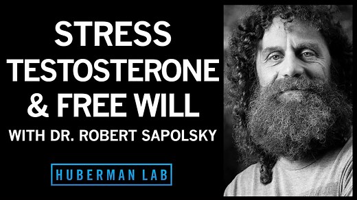Dr. Robert Sapolsky: Science of Stress, Testosterone & Free Will