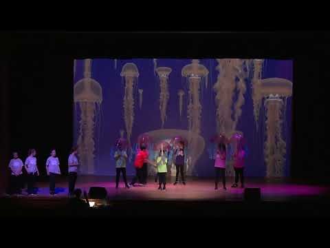 Disney Finding Nemo Kids (Archive)