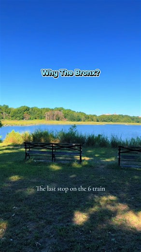 Why The Bronx? Reasons I Post About The Bronx