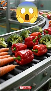 Inside a Modern Food Factory 🏭 | Automated Processing