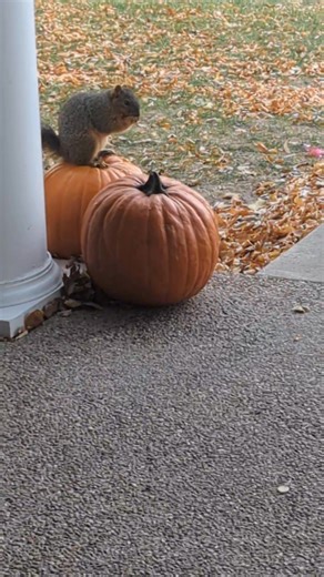 TGIF | Anamaria Russo Meeker