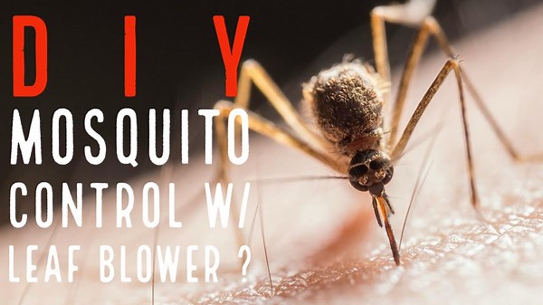 DIY Mosquito Control w/Leaf Blower